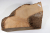 Maserknolle Olive 270x170x150mm - Oliv0833