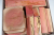 Sortimentbox Goldschmiede - Pink Ivory - Goldbox2099
