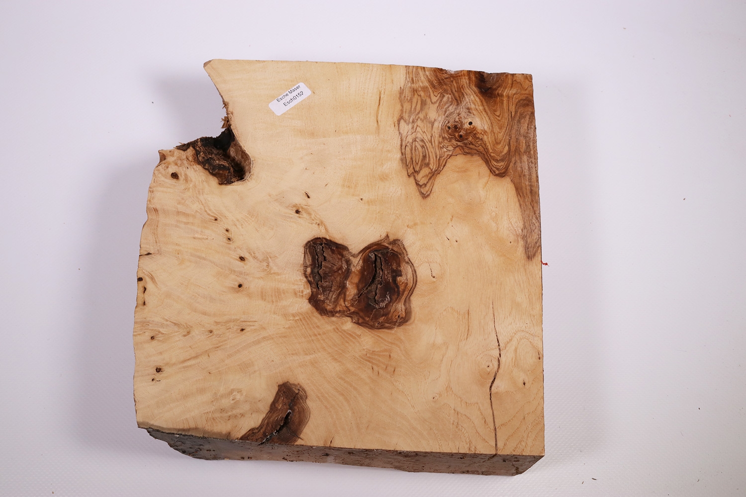 Ash Burl 225x215x65mm - Esch0152 - Feines Holz