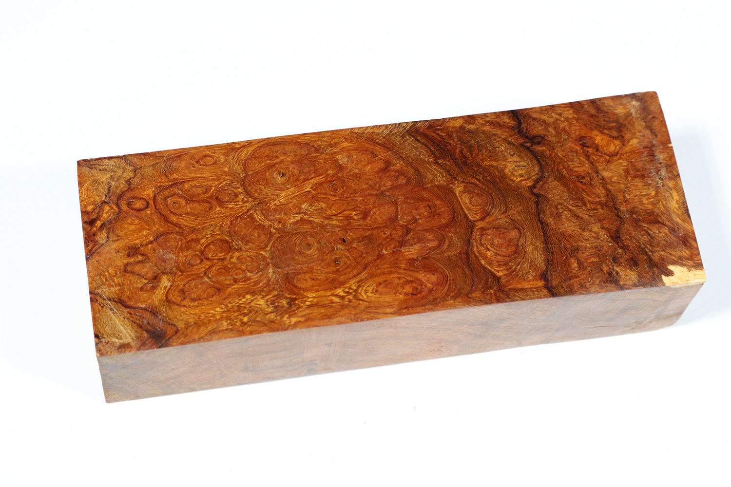 Knife Block Desert Ironwood Burl WueM1888 Feines Holz