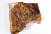 Golden Madrone Burl 180x170x60mm...