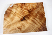 Abschnitt Golden Madrone 295x220...