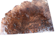 Blank Walnut Burl 490x360x65mm -...