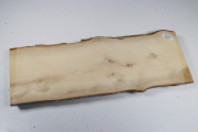 Brettabschnitt Stechpalme 340x12...