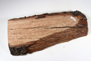 Holm Oak 340x145x50mm - SteiEi0227