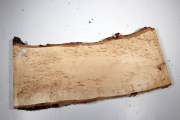 Board Karelian Masurbirch  450x1...