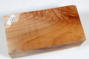 Klotz Muschelahorn 170x88x65mm -...