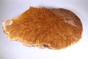 Knollenabschnitt Brown Mallee 53...