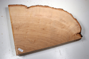 Hornbeam Burl 350x280x65mm - Ges...