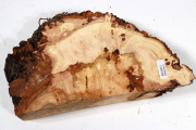 Linden Tree Burl 215x135x55mm - ...