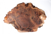 Walnut Burl 600x460x65mm - NusBM...