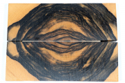 Dimensions: approx. 125 x 45 x 1...