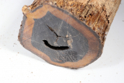 African Blackwood 235x140 mm - G...